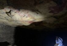 «Это только начало»: ученые извлекли ДНК доисторических людей из древних рисунков (фото)