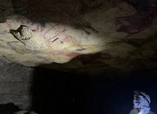 «Это только начало»: ученые извлекли ДНК доисторических людей из древних рисунков (фото)