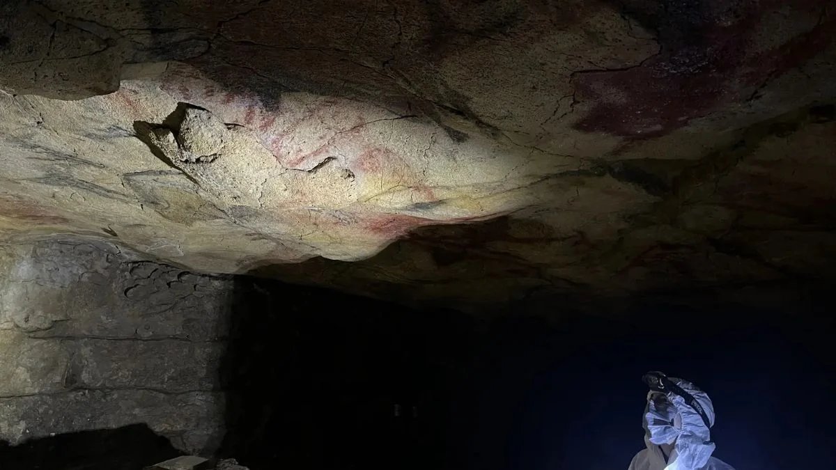 «Это только начало»: ученые извлекли ДНК доисторических людей из древних рисунков (фото)