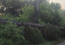 Наслідки буревію на Чернігівщині: тисячі людей досі чекають на відновлення світла