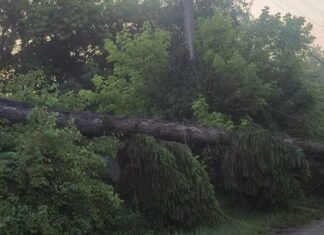 Наслідки буревію на Чернігівщині: тисячі людей досі чекають на відновлення світла
