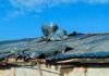 FPV-дрони, міномети та артилерія: за добу ворог атакував прикордоння Чернігівщини
