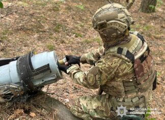 У лісовому масиві Чернігівського району знайшли два російські дрони