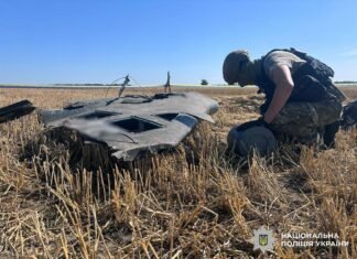 Небезпечна знахідка посеред поля: на Чернігівщині виявили російський реактивний БпЛА