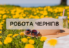 ТОП-7 вакансій у Чернігові: де пропонують зарплату до 45 тисяч гривень