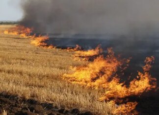 Горіли підприємство, господарча будівля, 9 гектарів ячменю: ворог продовжує атакувати Чернігівщину