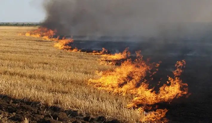 Горіли підприємство, господарча будівля, 9 гектарів ячменю: ворог продовжує атакувати Чернігівщину