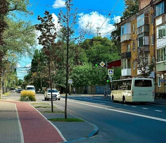 У липні громадський транспорт Чернігова перевіз понад 3,3 млн пасажирів: які маршрути найпопулярніші