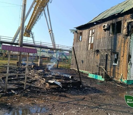 Дев’ять «Гербер» атакували склад лісового господарства на Чернігівщині: пошкоджено техніку та будівлі
