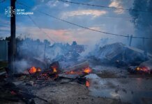 Пожежа у притулку для тварин на Київщині знищила 20 вольєрів