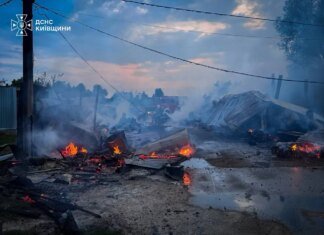 Пожежа у притулку для тварин на Київщині знищила 20 вольєрів