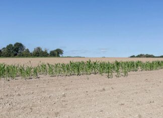 Рекордно спекотне літо коштуватиме економіці ЄС €180 млрд