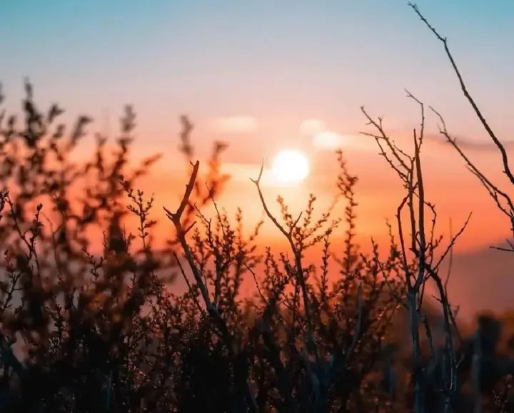 До +32°: в Україні 16 серпня очікується малохмарна погода без опадів — Гідрометцентр
