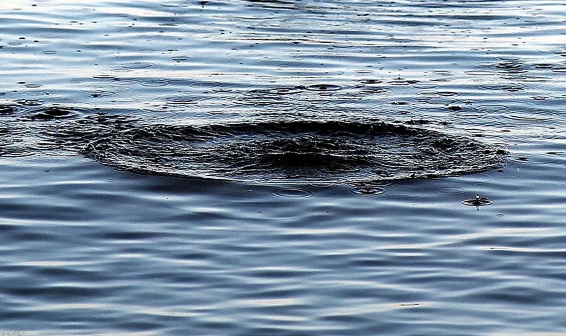 Цього літа на водоймах України загинуло вже 65 дітей — поліція