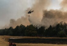 ЄС направив гелікоптери та пожежників до Сербії для боротьби з лісовими пожежами