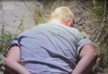 Словацька поліція запобігла підпалу фабрики з виробництва дронів