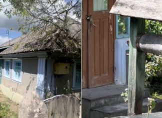 Украинка показала дом в вымирающей деревне: «Очень больно» (фото)