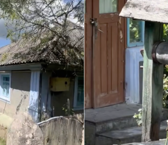 Украинка показала дом в вымирающей деревне: «Очень больно» (фото)