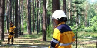 На Чернігівщині вогонь охопив понад 1,7 га лісу: усі пожежі пов’язані з війною
