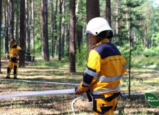 На Чернігівщині вогонь охопив понад 1,7 га лісу: усі пожежі пов’язані з війною
