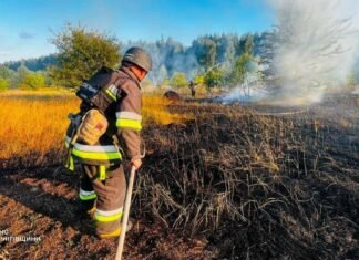 На Чернігівщині через падіння російських дронів виникли пожежі на площі понад 3 гектари