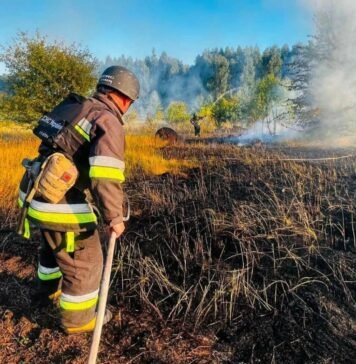 На Чернігівщині через падіння російських дронів виникли пожежі на площі понад 3 гектари