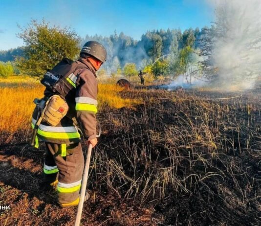 На Чернігівщині через падіння російських дронів виникли пожежі на площі понад 3 гектари