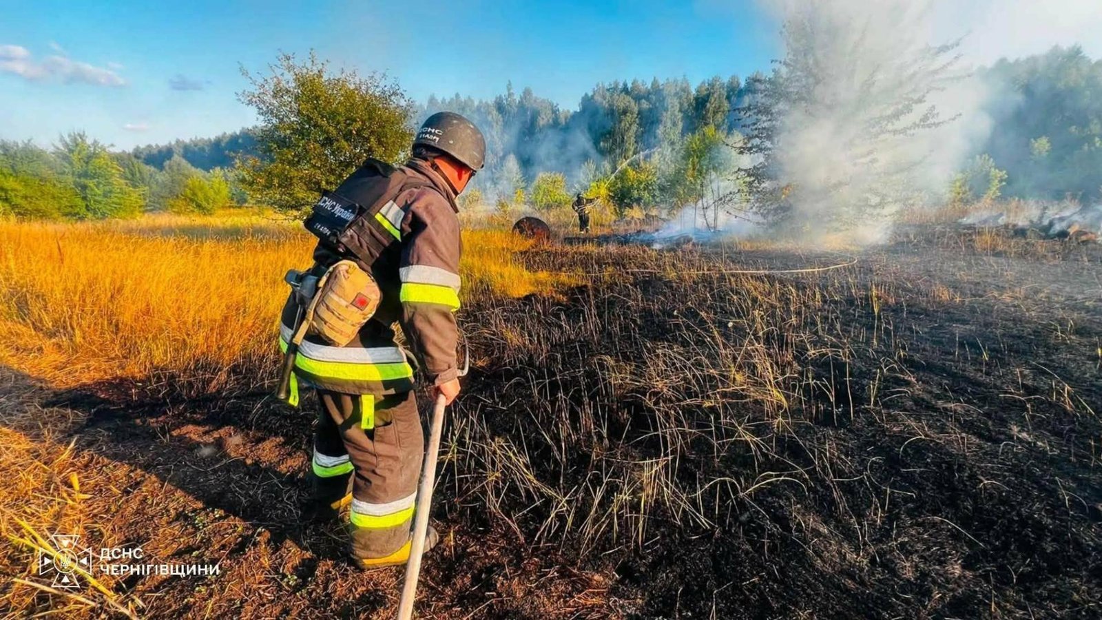 На Чернігівщині через падіння російських дронів виникли пожежі на площі понад 3 гектари