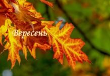 Зарплати вчителів, реформа старшої школи і нові правила бронювання: що зміниться в Україні з 1 вересня