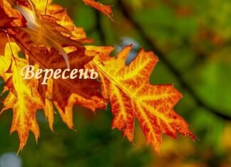 Зарплати вчителів, реформа старшої школи і нові правила бронювання: що зміниться в Україні з 1 вересня