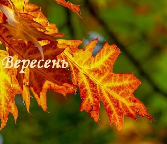 Зарплати вчителів, реформа старшої школи і нові правила бронювання: що зміниться в Україні з 1 вересня