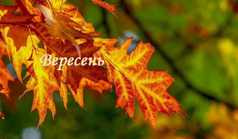 Зарплати вчителів, реформа старшої школи і нові правила бронювання: що зміниться в Україні з 1 вересня