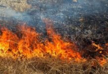 Горіли будівлі та суха трава: на Чернігівщині за добу сталося 8 пожеж