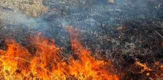 Горіли будівлі та суха трава: на Чернігівщині за добу сталося 8 пожеж