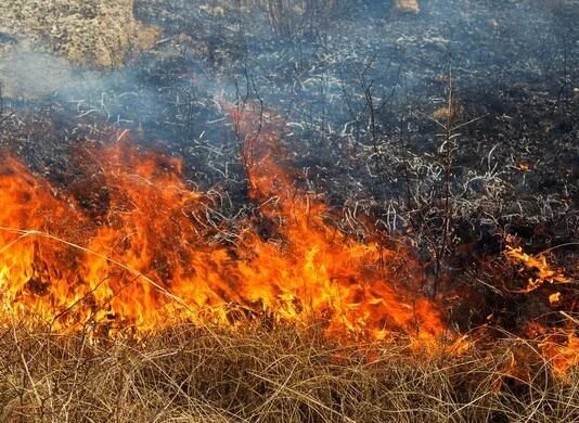 Горіли будівлі та суха трава: на Чернігівщині за добу сталося 8 пожеж