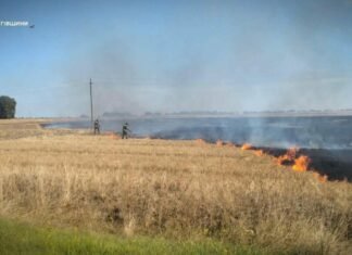 Удари БпЛА по Чернігівщині: на Прилуччині пошкоджене агропідприємство