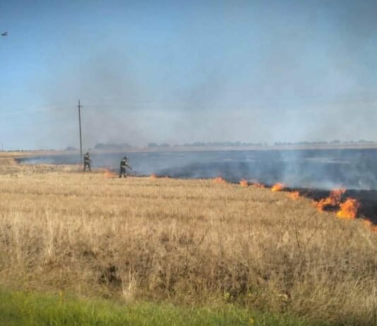 Удари БпЛА по Чернігівщині: на Прилуччині пошкоджене агропідприємство