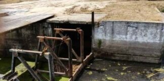 «Цвітіння» води та зміна кольору: екологи перевірили річку Остер на Чернігівщині після скарг мешканців