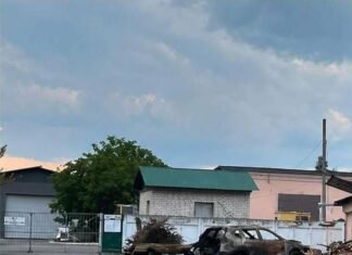 Російський дрон спричинив пожежу на Чернігівщині: збитки для довкілля перевищили 409 тисяч гривень