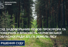 На Чернігівщині суд повернув у комунальну власність 321 гектар лісу