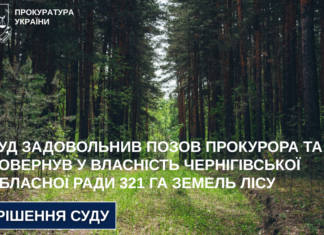 На Чернігівщині суд повернув у комунальну власність 321 гектар лісу