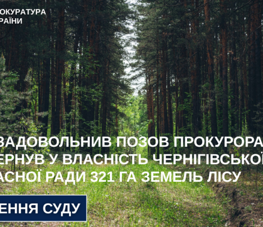На Чернігівщині суд повернув у комунальну власність 321 гектар лісу