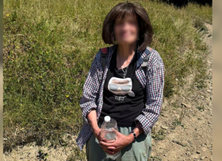 Провела ніч у горах: туристка із Чернігова заблукала на Закарпатті