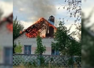 Ворог вдарив по птахофабриці та будинках на Чернігівщині