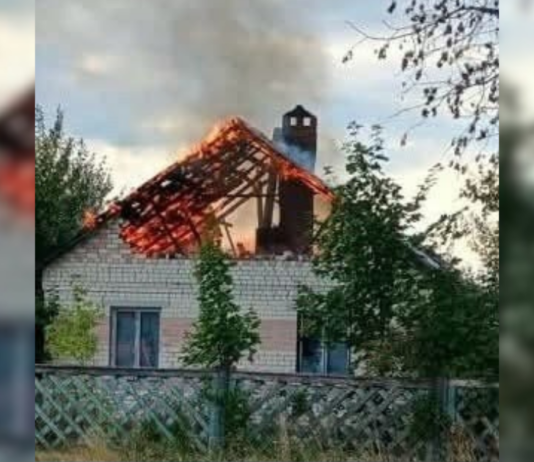 Ворог вдарив по птахофабриці та будинках на Чернігівщині