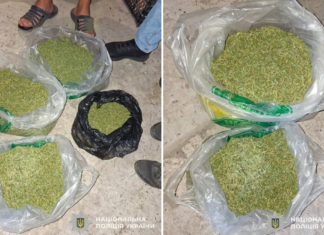 На Чернігівщині вдома у чоловіка поліцейські знайшли близько 2 кг наркотиків