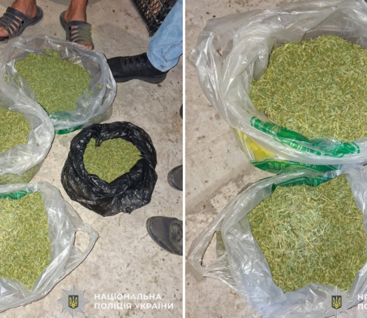 На Чернігівщині вдома у чоловіка поліцейські знайшли близько 2 кг наркотиків