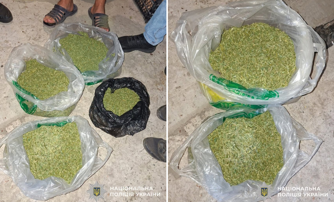 На Чернігівщині вдома у чоловіка поліцейські знайшли близько 2 кг наркотиків