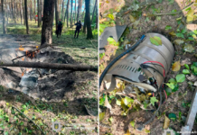 Пожежа на складах і в лісі: фото наслідків масованої атаки на Чернігів