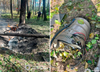 Пожежа на складах і в лісі: фото наслідків масованої атаки на Чернігів